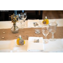 DJ Hochzeit Schloss Steinhausen