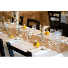 DJ Schloss Steinhausen Hochzeit